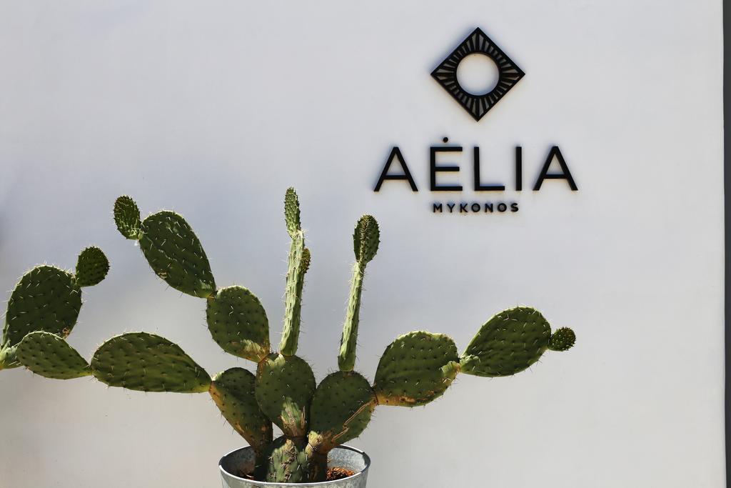 Отель Aelia Mykonos 4*